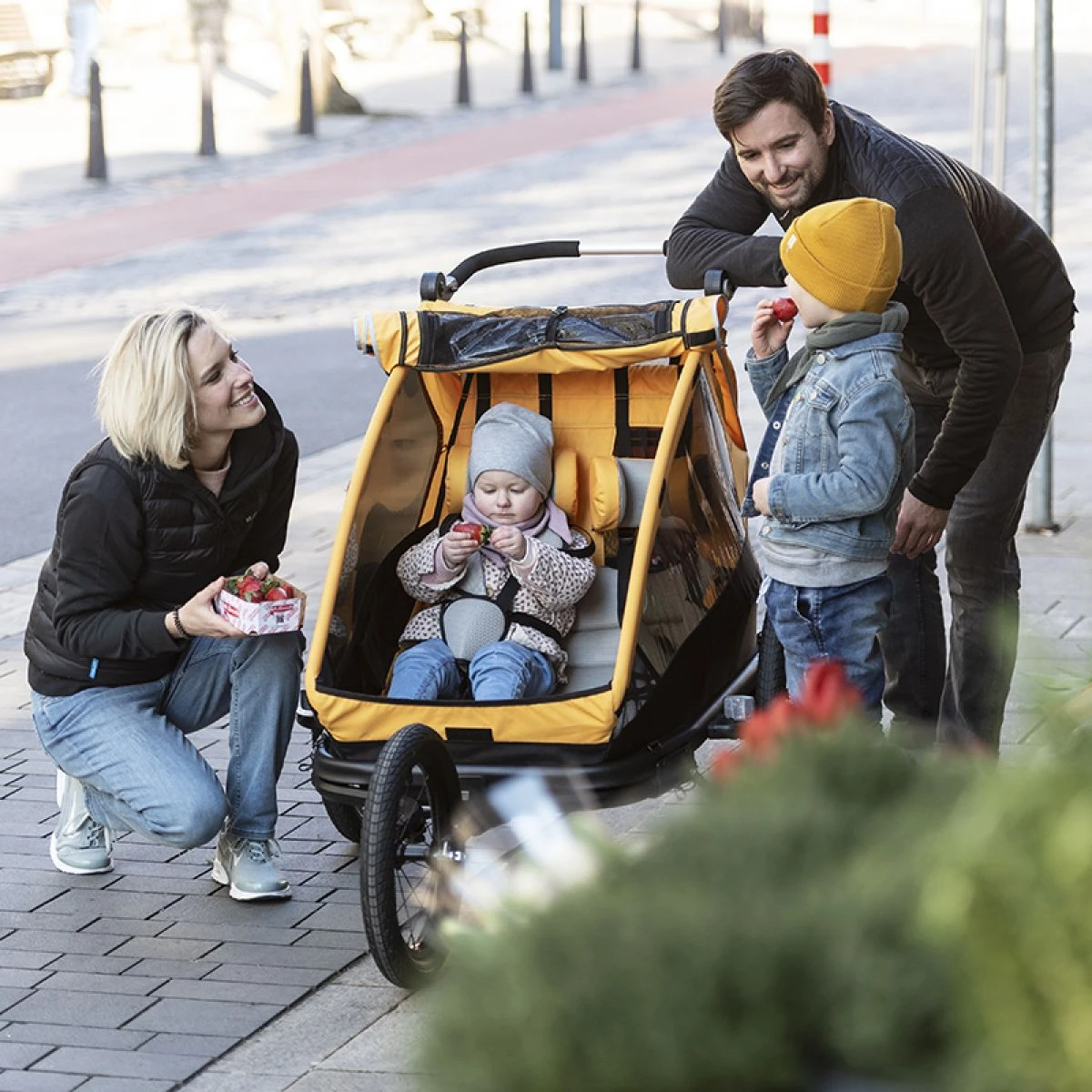 XLC Remorque Enfant Duo S 20" Gris/orange – Image 2